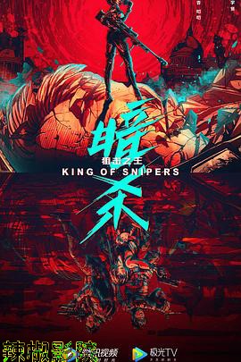 狙击之王：暗杀