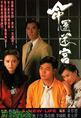 命运迷宫粤语版