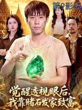 觉醒透视眼后，我靠赌石发家致富